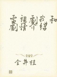 电视剧我和丈娘剧情介绍