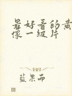 最好看的黄色录像一级片