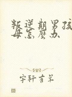 叛逆期男孩骂父母怎么办