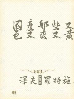 国产那些又粗又色又爽又黄的视频