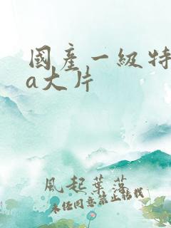 国产一级特黄aa大片