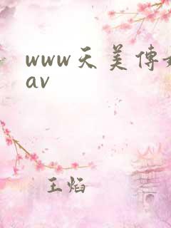 www天美传媒av