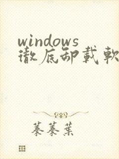 windows彻底卸载软件