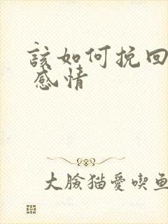 该如何挽回婚姻 感情