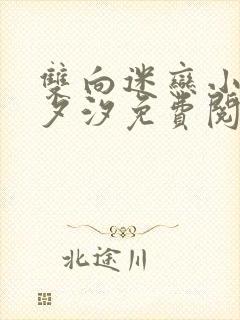 双向迷恋小说溪夕汐免费阅读