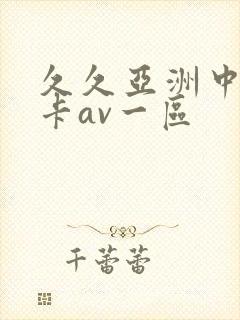 久久亚洲中文不卡av一区