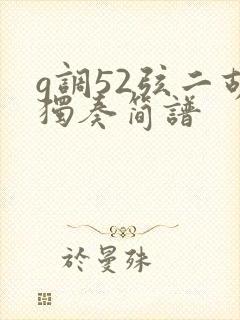 g调52弦二胡独奏简谱