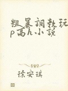 粗暴调教玩弄np高h小说