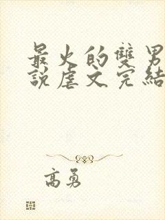 最火的双男主小说虐文完结受推文