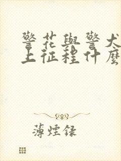 警花与警犬之再上征程什么时候播出