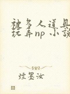 被多人道具调教玩弄np 小说