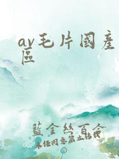 av毛片国产一区