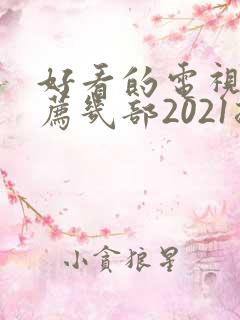 好看的电视剧推荐几部2021排行榜