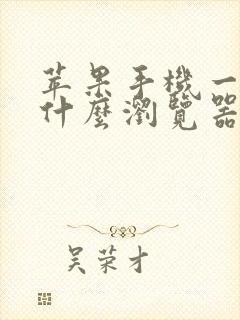 苹果手机一般用什么浏览器比较好