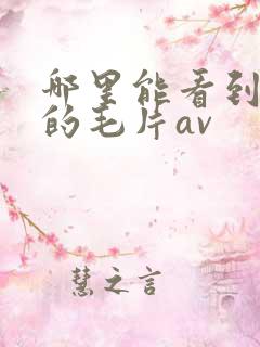 哪里能看到免费的毛片av