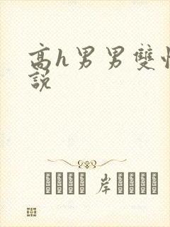 高h男男双性小说