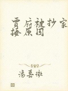 贾府被抄家的直接原因