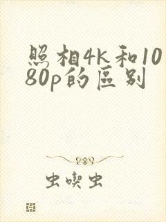 照相4k和1080p的区别