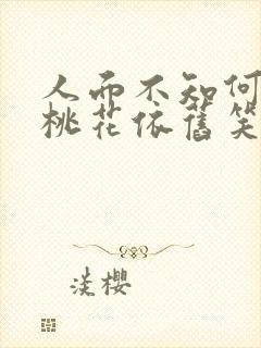 人面不知何处去桃花依旧笑春风翻译