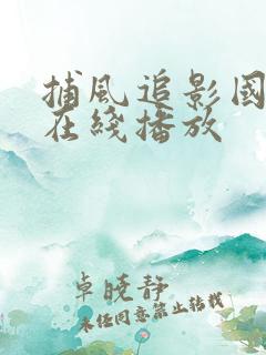 捕风追影国语版在线播放