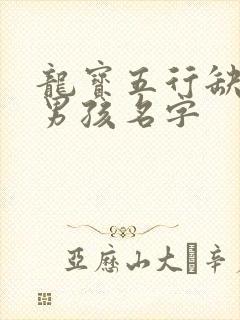 龙宝五行缺金取男孩名字