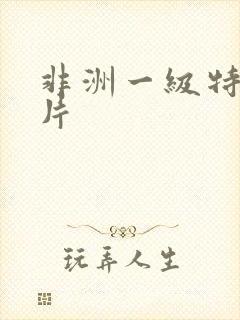 非洲一级特黄大片