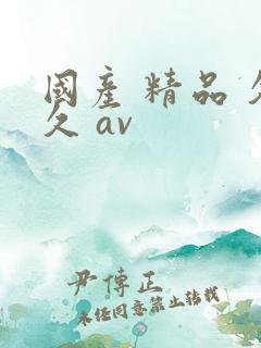 国产 精品 久久 av