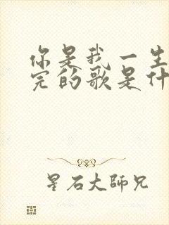 你是我一生唱不完的歌是什么歌名