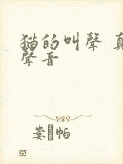 猫的叫声 真实声音