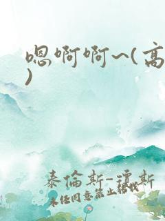 嗯啊啊~(高h)