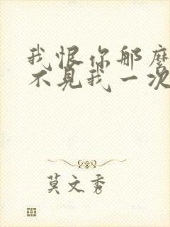 我恨你那么久都不见我一次是什么歌