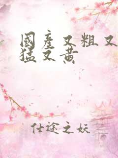 国产又粗又爽又猛又黄