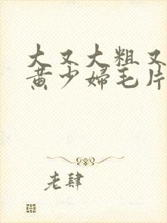 大又大粗又爽又黄少妇毛片带字