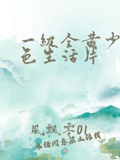 一级全黄少妇泄色生活片