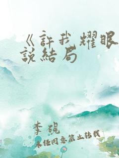 《许我耀眼》小说结局