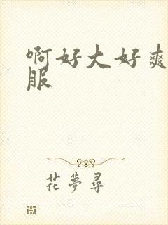 啊好大好爽好舒服