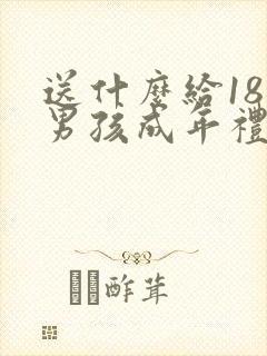 送什么给18岁男孩成年礼物