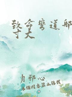 致命弯道哪部尺寸大