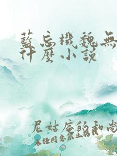 蓝忘机魏无羡是什么小说