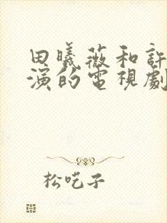 田曦薇和许凯主演的电视剧