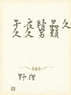 午夜精品久久久久久另类