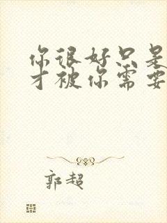 你很好只是偶尔才被你需要歌词