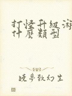 打怪升级游戏叫什么类型