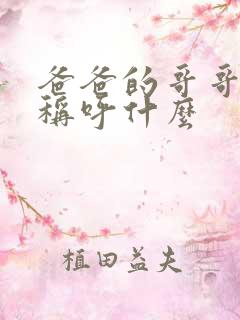 爸爸的哥哥应该称呼什么