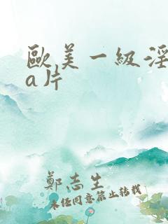 欧美一级淫aaa片