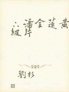 ∴潘金莲黄色一级片