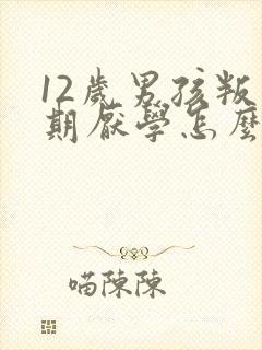 12岁男孩叛逆期厌学怎么办