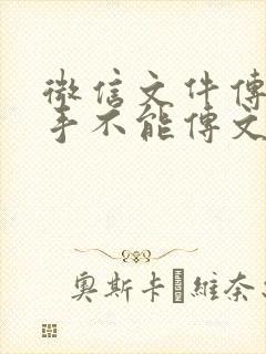 微信文件传输助手不能传文件怎么办