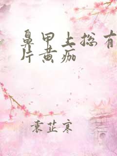 鼻甲上总有一大片黄痂