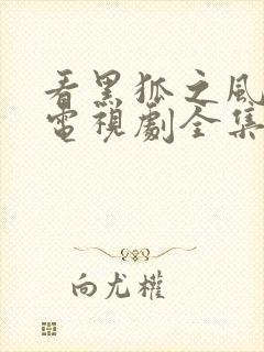 看黑狐之风影 电视剧全集